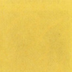Thompson Enamels for Float - Opaque - Golden Glow Yellow - 224g