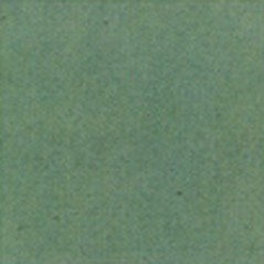 Thompson Enamels for Float - Opaque - Jungle Green - 224g