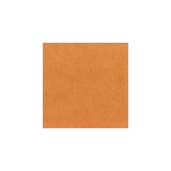 Thompson Enamels for Float - Opaque - Orange - 56g