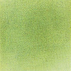 Thompson Enamels for Float - Transparent - Meadow Green - 224g