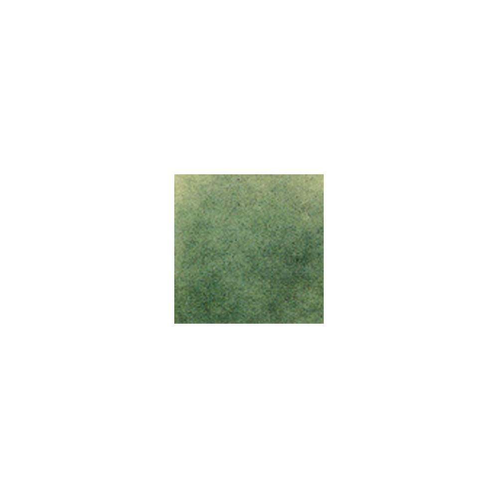 Thompson Enamels for Float - Transparent - Cactus Green - 56g