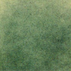 Thompson Enamels for Float - Transparent - Cactus Green - 56g