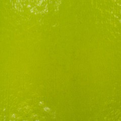 Effetre Murano Glass - Verde Erba Medio - 50x50cm