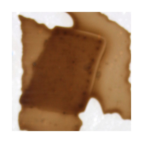 Confetti - Deer Brown - 400g - for Float Glass