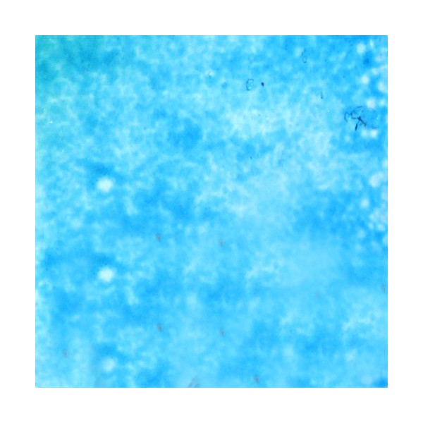 Frit - Aquamarine - Fine Powder - 1kg - for Float Glass