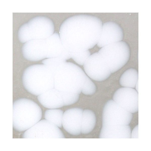 Frit - Opaque White Dense - Coarse - 1kg - for Float Glass