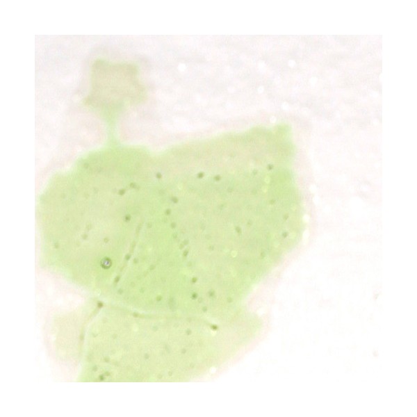 Confetti - Light Green - 400g - for Float Glass
