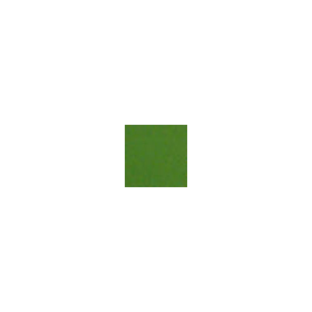 Colourmaster - Opalescent - Light Green - 50g