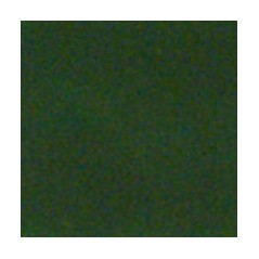 Colourmaster - Opalescent - Dark Green - 50g