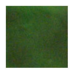 Colourmaster - Transparent - Green - 50g