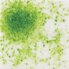 Uroboros Frit 96 - Moss Green - Powder - 450g