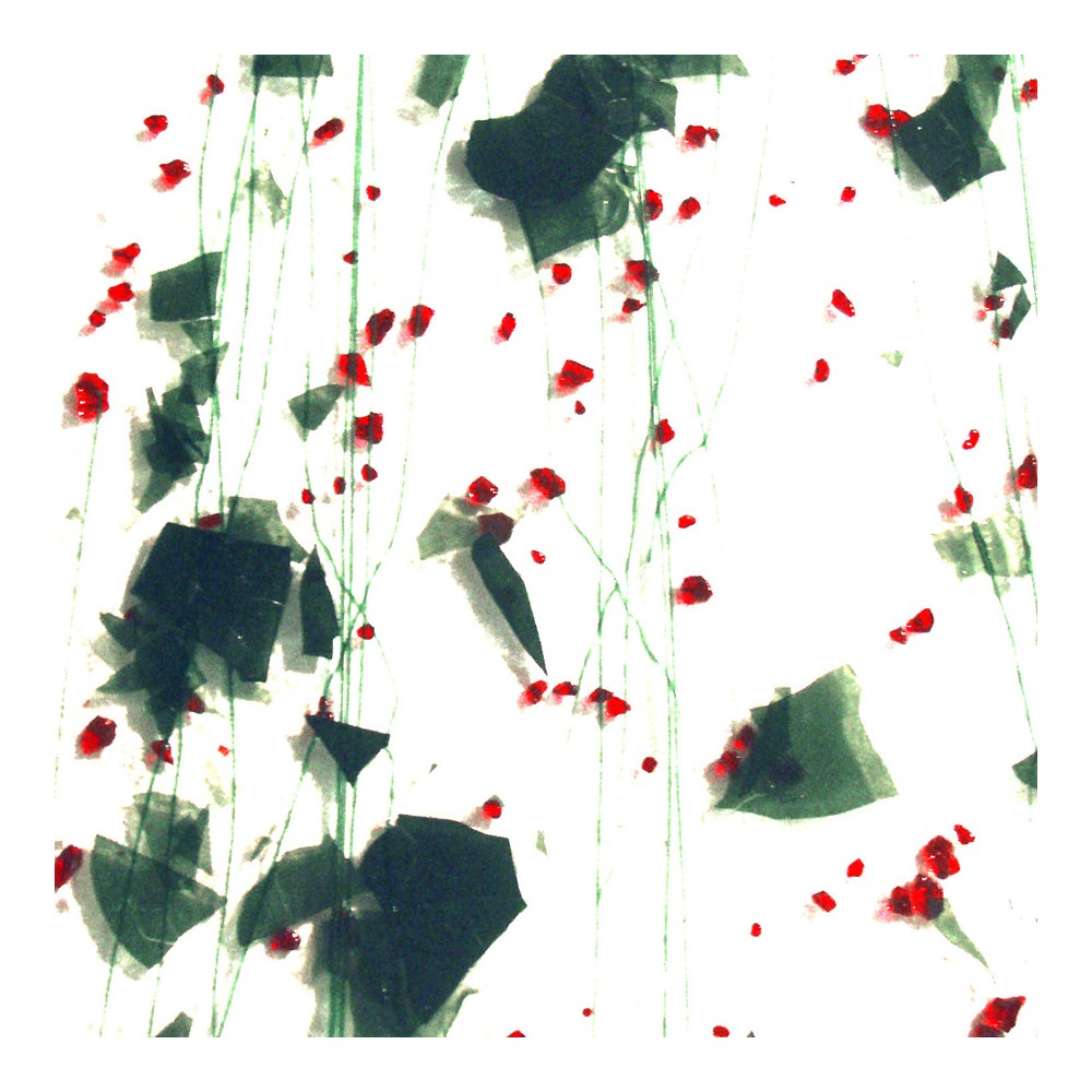 Bullseye Holly Berry: Red & Aventurine Green Collage - 3mm - Single Rolled - Fusible Glass Sheets